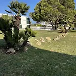 Cala´n Bosch